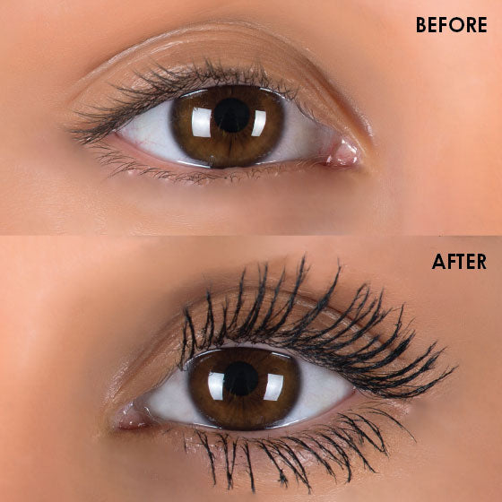 Silk Oil of Morocco Argan Fibre Lash Mascara Kit